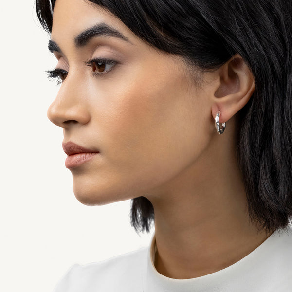 Radley Ladies  Earrings Additional View