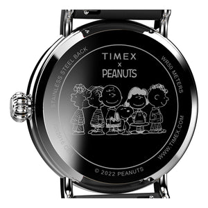 Timex Gents Leather Watches Additional View
