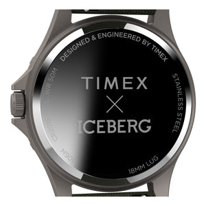Timex Gents Wristwatch Additional View