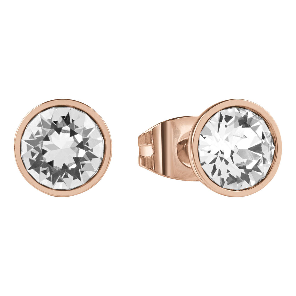 Guess Ladies Earrings Primary View