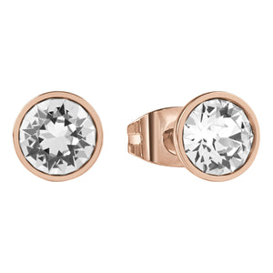 Guess Ladies Earrings Primary View