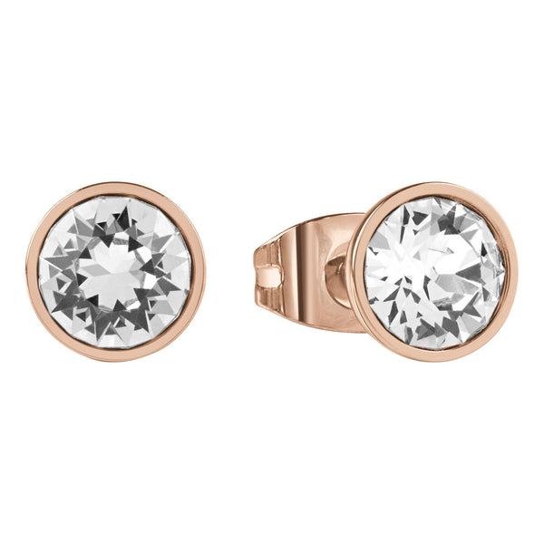 Guess Ladies Earrings Primary View