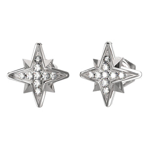 Guess Ladies Earrings Primary View